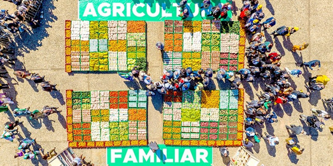 Governo federal lançou ainda a Estratégia Nacional de Segurança Alimentar e Nutricional