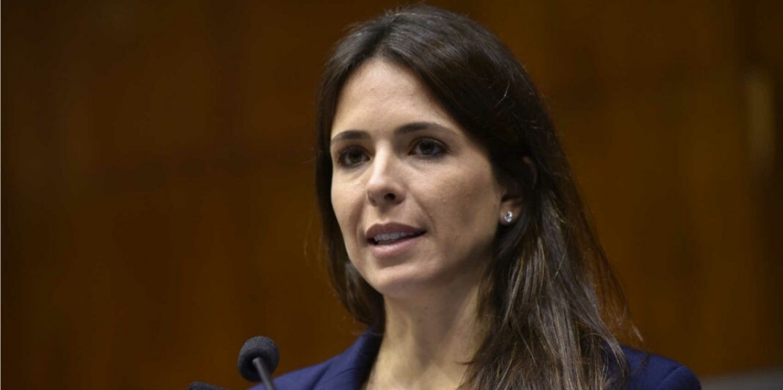 Deputada Any Ortiz