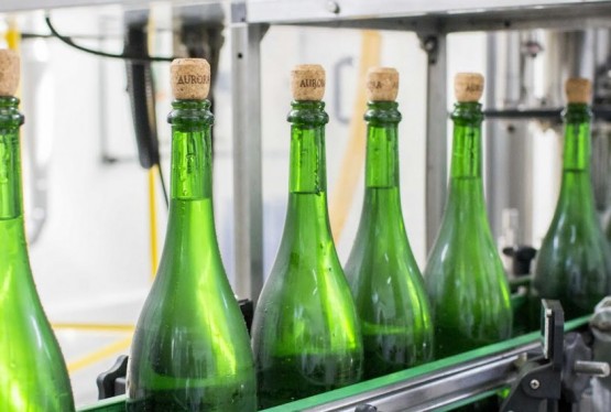 Os principais destinos das espumantes da Vinícola Aurora foram São Paulo, Rio Grade do Sul, Santa Catarina, Paraná, Distrito Federal e Rio de Janeiro. No ano, produtos também foram exportados para cinco países   