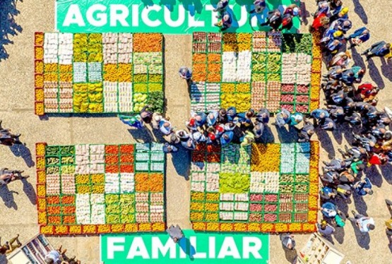 Governo federal lançou ainda a Estratégia Nacional de Segurança Alimentar e Nutricional