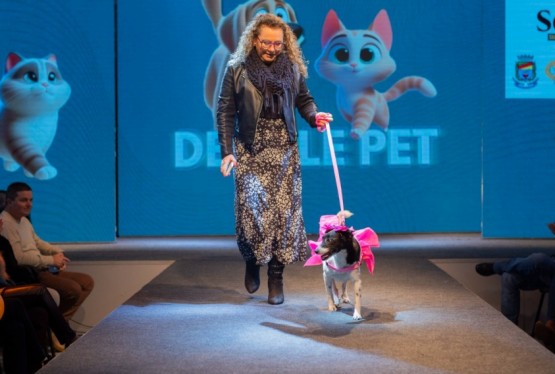 Desfile Pet levou a foforua dos bichanos para a feira